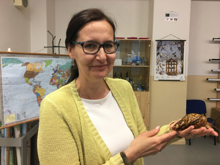 O vyučovaní prírodných vied s Vierkou Mitíľovou, učiteľkou biológie a geografie z Martina