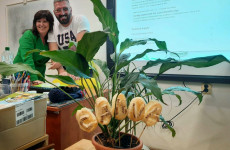 CANVA, grafický dizajn pre učiteľa, lektor: Peter Pirončiak, KMU ZŠ v Košiciach, 28.2.2023